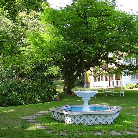 Park Eden Bed & Breakfast Los Llanitos Ngoại thất bức ảnh