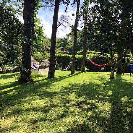 Park Eden Bed & Breakfast Los Llanitos Ngoại thất bức ảnh