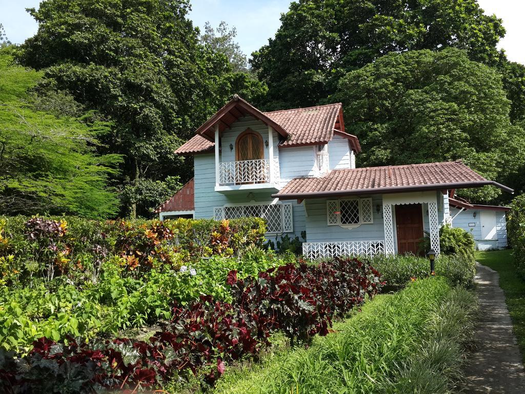 Park Eden Bed & Breakfast Los Llanitos Phòng bức ảnh