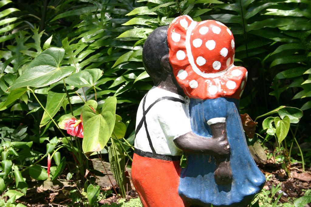 Park Eden Bed & Breakfast Los Llanitos Phòng bức ảnh
